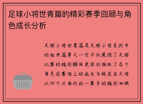 足球小将世青篇的精彩赛季回顾与角色成长分析